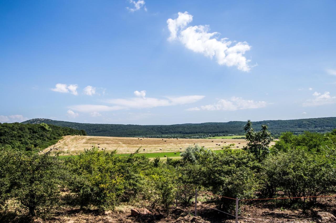 Oeregtoelgy Apartman Szar Bagian luar foto